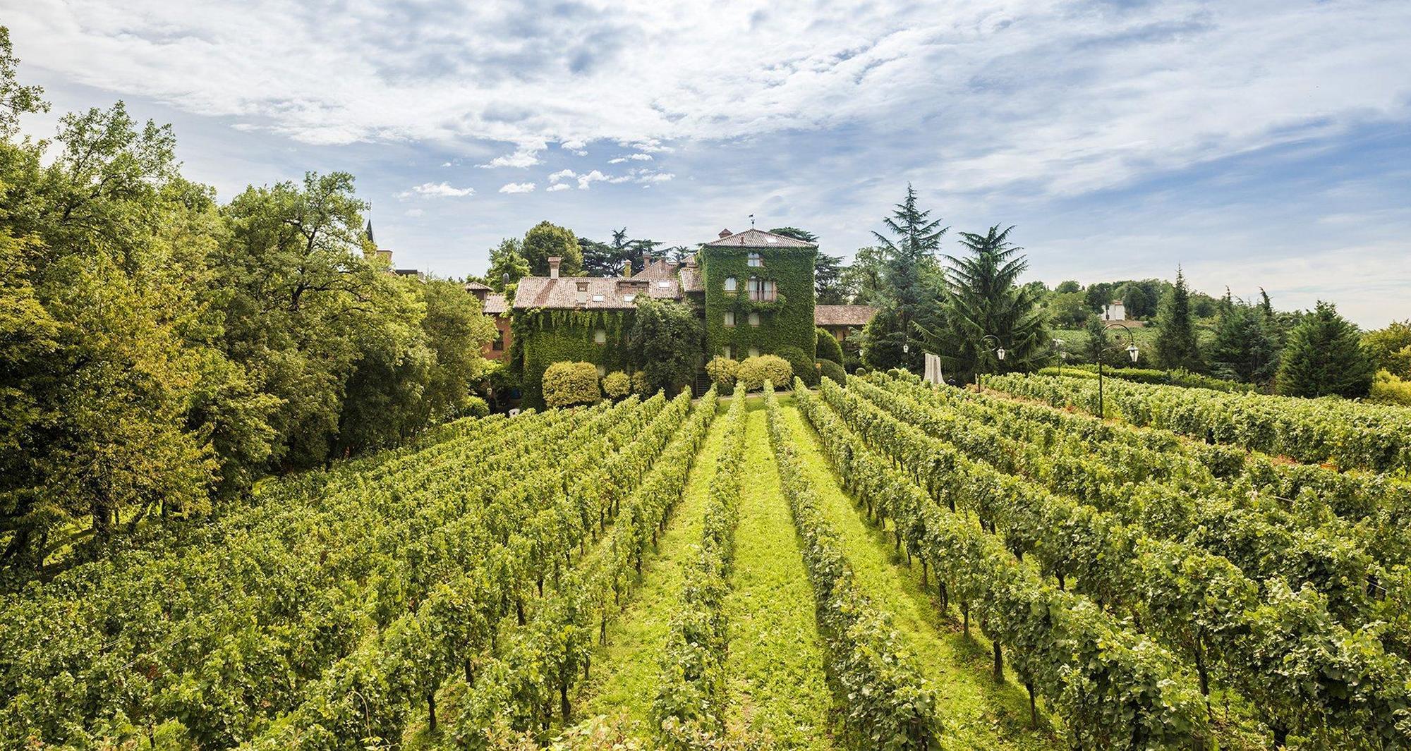 L'Albereta Relais & Chateaux إيربوسكو المظهر الخارجي الصورة